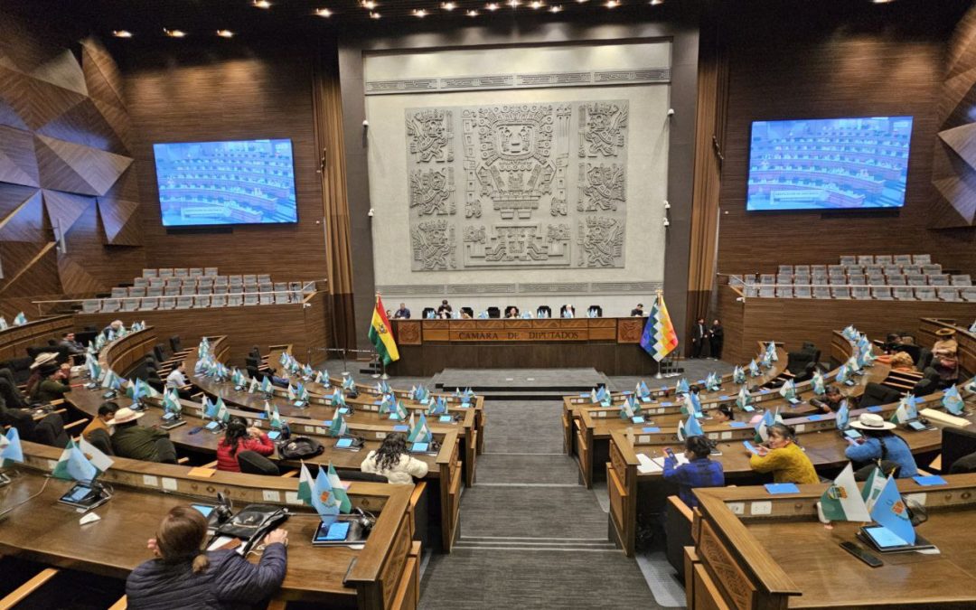 CÁMARA DE DIPUTADOS APRUEBA CRÉDITOS PARA PROYECTOS PRODUCTIVOS Y VIALES