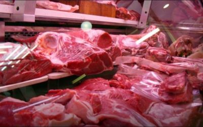EXPOTACIÓN DE CARNE DE RES ENCARECE EL PRECIO DEL PRODUCTO EN YACUIBA