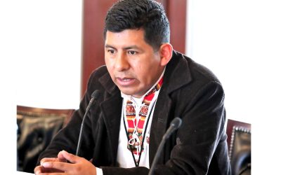 NO SE PUEDE REALIZAR ELECCIONES SUBNACIONALES Y JUDICIALES SIMULTÁNEAMENTE EN BOLIVIA