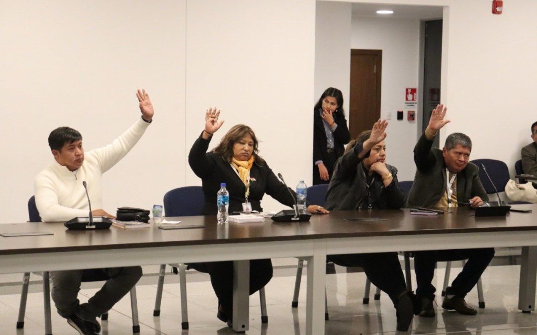 COMISIÓN AVANZA CON 440 POSTULANTES Y CONSOLIDA CONTROL DOCUMENTAL PARA EL TSE