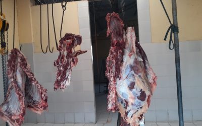 CARNICEROS TEMEN DESABASTECIMIENTO MIENTRAS GANADEROS BUSCAN DUPLICAR EXPORTACIONES INTERNACIONALES