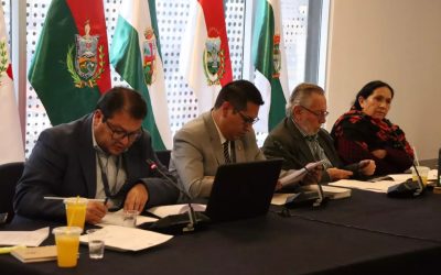 SENADORA YARHUI SOLICITA REVISIÓN EXHAUSTIVA DE PUNTAJES A POSTULANTES AL TSE