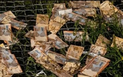 BCB Y BANCA PRIVADA PUBLICAN SERIES DE BILLETES INHABILITADOS Y REFUERZAN CONTROL DEL CIRCULANTE