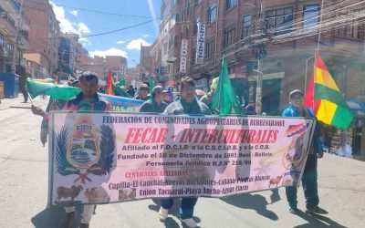 DIRIGENTES DE LA MARCHA INDÍGENA DENUNCIAN AMENAZAS DE VICEMINISTROS