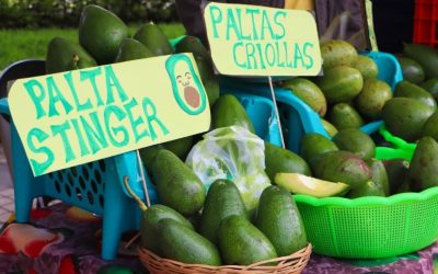 YACUIBA ABRE MERCADO BINACIONAL CON LA FERIA INTERNACIONAL DE LA PALTA