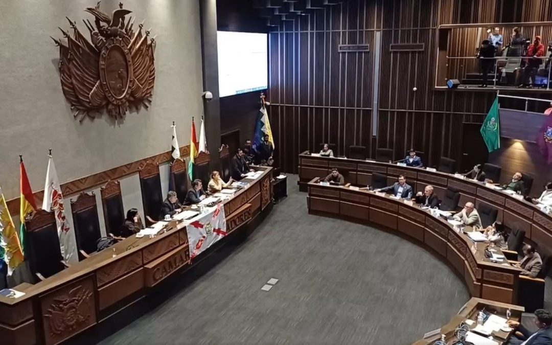 SENADORES APRUEBAN CON MODIFICACONES LA ABROGACIÓN DE LA LEY 1720 Y DEVUELVEN A DIPUTADOS
