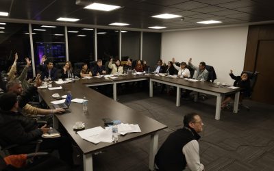 PROYECTO DE EXCEPCIÓN CONCEDE MÁS ATRIBUCIONES AL GOBIERNO
