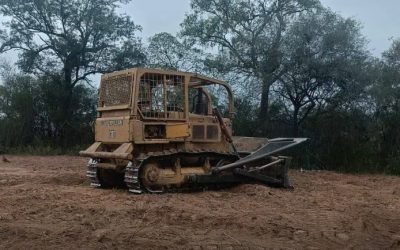 DENUNCIAN DESMONTE DE 700 HECTÁREAS EN TERRITORIO WEENHAYEK DE YACUIBA