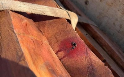 OPERATIVO EN FRONTERA DETECTA DROGA OCULTA EN MADERA