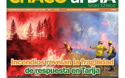 CHACO AL DÍA, EDICIÓN IMPRESA
