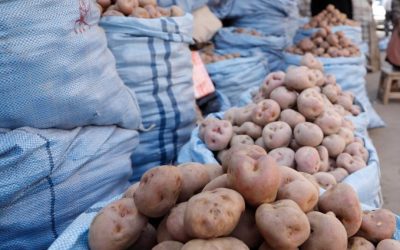 PAPA SUBE HASTA 80% EN LA PAZ POR EL ENCARECIMIENTO DEL TRANSPORTE