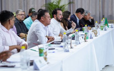 TARIJA PROPONE QUE EL 15% DE LOS IMPUESTOS NACIONALES PASE A LAS GOBERNACIONES