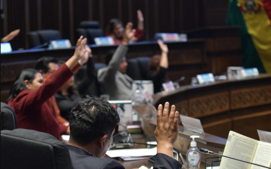 SENADO APRUEBA CRÉDITO DE $US 200 MILLONES PARA EL BONO PEPÉ QUE DEBÍA PAGARSE CON AHORROS DEL DIÉSEL