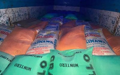 ARROZ LLEGA A BS 600 Y PRODUCTORES ADVIERTEN MENOS SIEMBRA POR DIÉSEL CARO